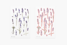 Load image into Gallery viewer, Pressed Flower Sticker - Lavender