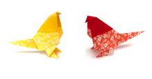 Load image into Gallery viewer, Paper - Origami: Assorted Flower Patterned Paper (20 Sheets)