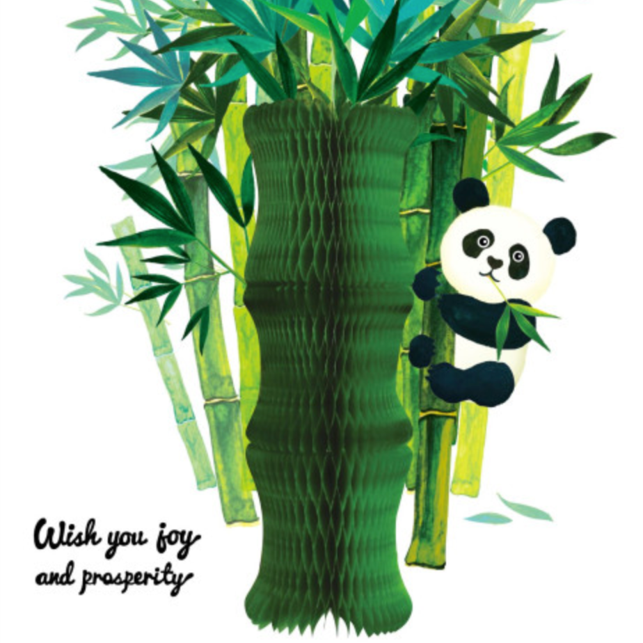 Honeycomb Money Envelope 3D Card - Bamboo Panda