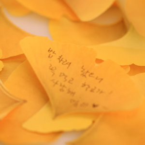 Sticky Leaf - Memo Notes - Ginkgo (Large)