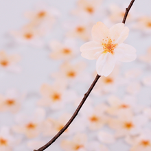 Load image into Gallery viewer, Sticky Leaf - Memo Notes - Cherry Blossom (Medium)