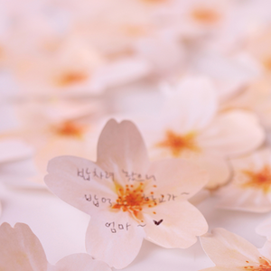 Sticky Leaf - Memo Notes - Cherry Blossom (Small)