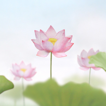 Load image into Gallery viewer, Sticky Leaf - Memo Notes - Lotus (Small)