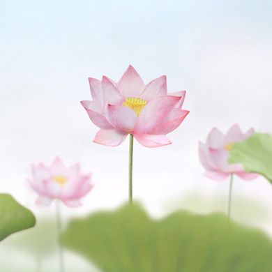 Sticky Leaf - Memo Notes - Lotus (Small)