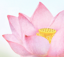 Load image into Gallery viewer, Sticky Leaf - Memo Notes - Lotus (Small)