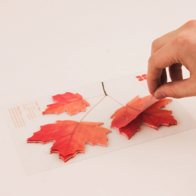 Sticky Leaf - Memo Notes - Maple (Large)