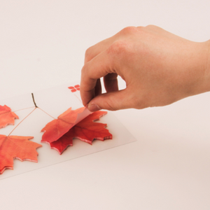 Sticky Leaf - Memo Notes - Maple (Small)