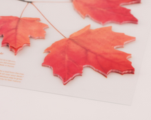 Load image into Gallery viewer, Sticky Leaf - Memo Notes - Maple (Large)