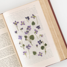 Load image into Gallery viewer, Pressed Flower Sticker - Manchurian Violet