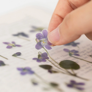 Pressed Flower Sticker - Manchurian Violet