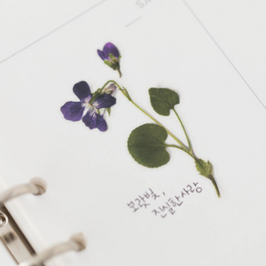 Pressed Flower Sticker - Manchurian Violet