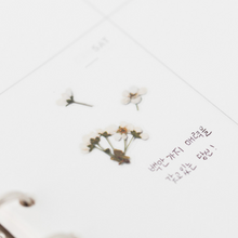Load image into Gallery viewer, Pressed Flower Sticker - Bridal Wreath