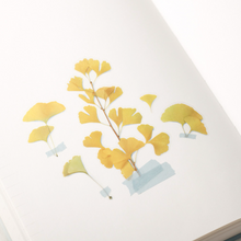 Load image into Gallery viewer, Pressed Flower Sticker - Ginkgo