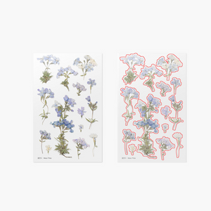 Pressed Flower Sticker - Moss Phlox