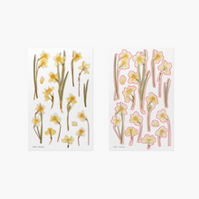Load image into Gallery viewer, Pressed Flower Sticker - Narcissus
