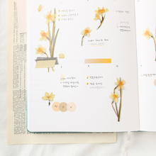 Load image into Gallery viewer, Pressed Flower Sticker - Narcissus