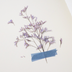 Pressed Flower Sticker - Misty Blue
