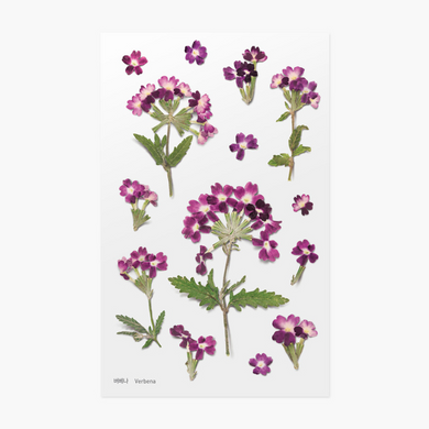 Pressed Flower Sticker - Verbena