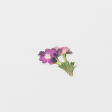 Load image into Gallery viewer, Pressed Flower Sticker - Verbena