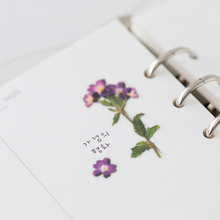 Load image into Gallery viewer, Pressed Flower Sticker - Verbena