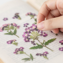 Load image into Gallery viewer, Pressed Flower Sticker - Verbena