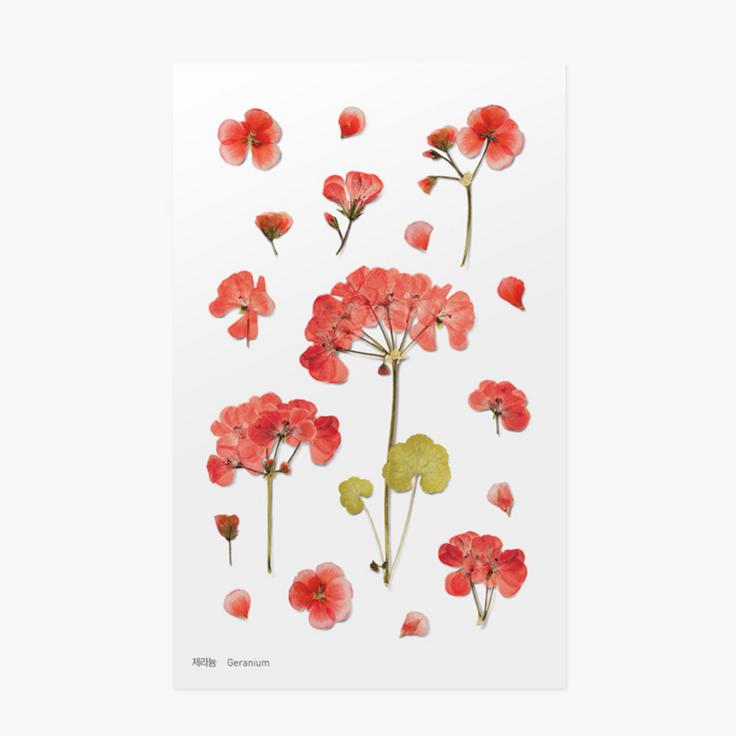 Pressed Flower Sticker - Geranium