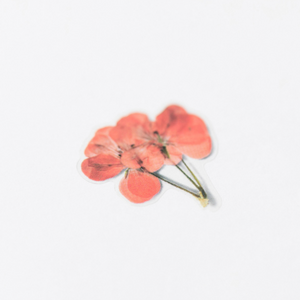 Pressed Flower Sticker - Geranium