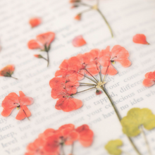Load image into Gallery viewer, Pressed Flower Sticker - Geranium