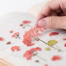 Load image into Gallery viewer, Pressed Flower Sticker - Geranium