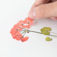 Load image into Gallery viewer, Pressed Flower Sticker - Geranium