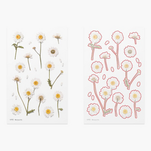 Pressed Flower Sticker - Marguerite