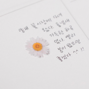 Pressed Flower Sticker - Marguerite