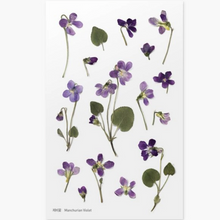 Load image into Gallery viewer, Pressed Flower Sticker - Manchurian Violet