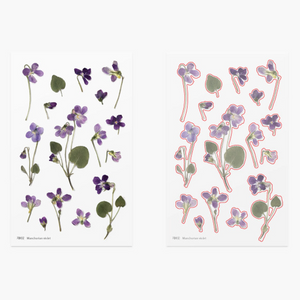 Pressed Flower Sticker - Manchurian Violet
