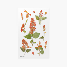 Load image into Gallery viewer, Pressed Flower Sticker - Salvia