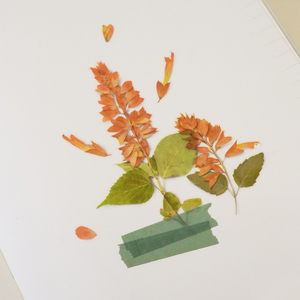 Pressed Flower Sticker - Salvia