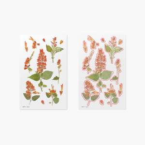 Pressed Flower Sticker - Salvia