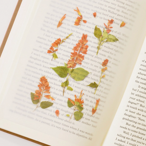 Pressed Flower Sticker - Salvia