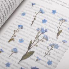Load image into Gallery viewer, Pressed Flower Sticker - Forget Me Not