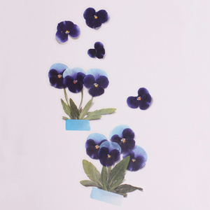 Pressed Flower Sticker - Pansy