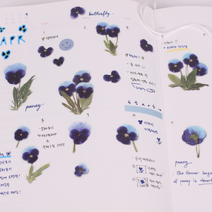Pressed Flower Sticker - Pansy