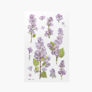Pressed Flower Sticker - Lilac