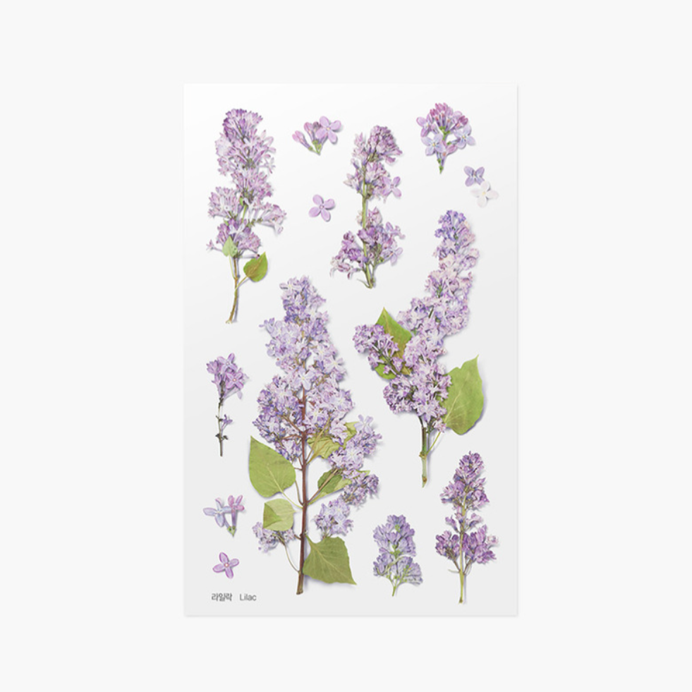 Pressed Flower Sticker - Lilac