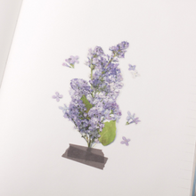 Load image into Gallery viewer, Pressed Flower Sticker - Lilac