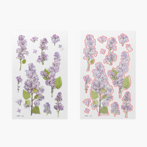 Pressed Flower Sticker - Lilac