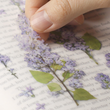 Load image into Gallery viewer, Pressed Flower Sticker - Lilac