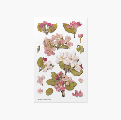 Pressed Flower Sticker - Apple Blossom