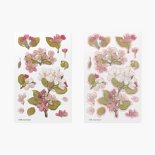 Load image into Gallery viewer, Pressed Flower Sticker - Apple Blossom