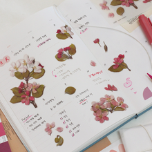 Load image into Gallery viewer, Pressed Flower Sticker - Apple Blossom