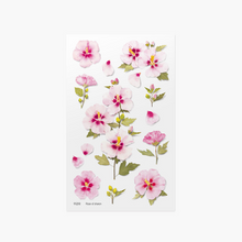 Load image into Gallery viewer, Pressed Flower Sticker - Rose of Sharon
